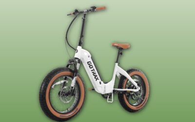 Gotrax F5 Folding Electric Bike Review