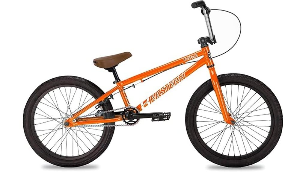 20 inch eastern bmx review