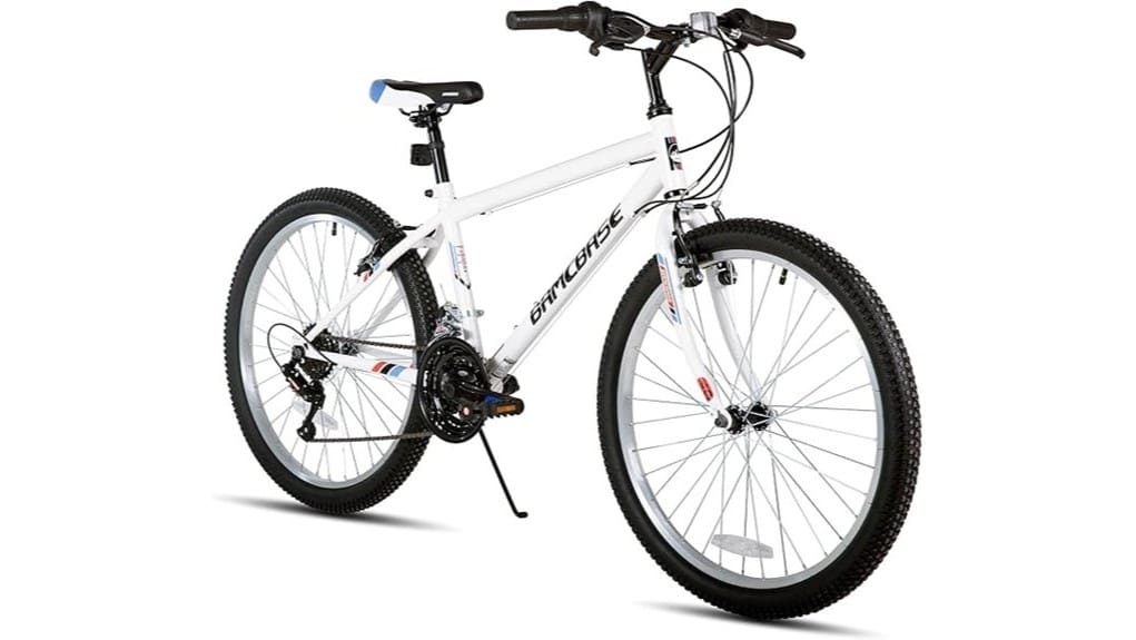 affordable entry level mountain bike