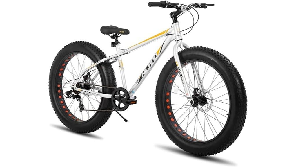 affordable sturdy fat tire bike