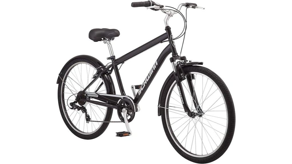 comfortable classic commuter cruiser