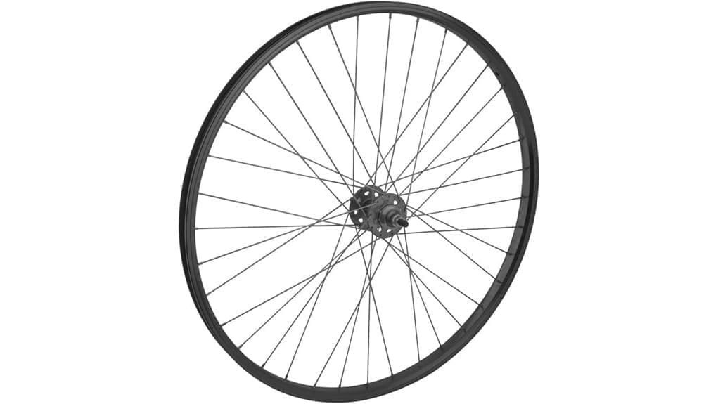 large 29 inch wheelbike