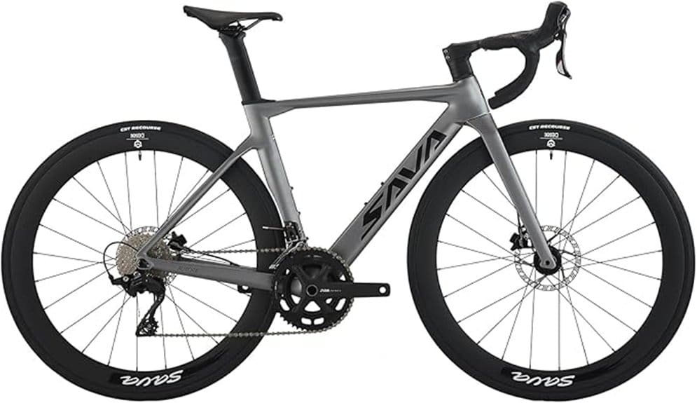 lightweight aerodynamic endurance racing bike