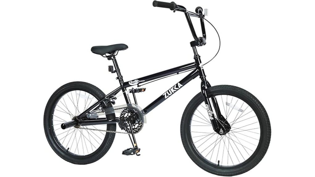single speed 20 inch bmx