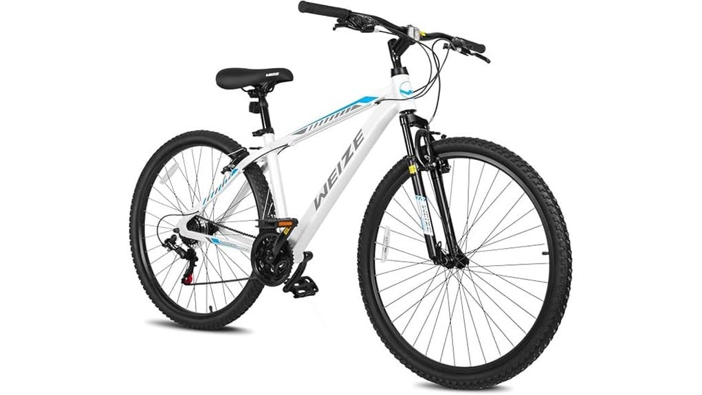 weize kbb 6012 hardtail review